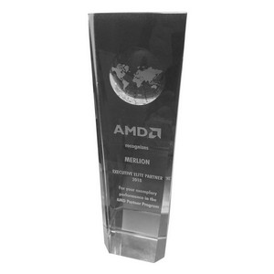 AMD  Merlion