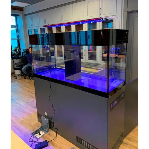 Морской аквариум – откройте для себя хобби