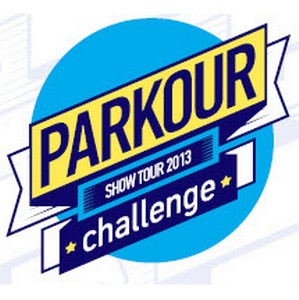     Parkour Challenge Russia   