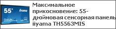  : 55-   iiyama TH5563MIS
