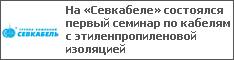 На «Севкабеле» состоялся первый семинар по кабелям с этиленпропиленовой изоляцией