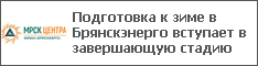 Подготовка к зиме в Брянскэнерго вступает в завершающую стадию