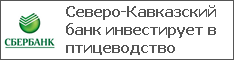 Северо-Кавказский банк инвестирует в птицеводство