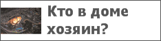 Кто в доме хозяин?
