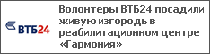 Волонтеры ВТБ24 посадили живую изгородь в реабилитационном центре «Гармония»