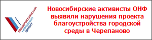 Новосибирские активисты ОНФ выявили нарушения проекта благоустройства городской среды в Черепаново